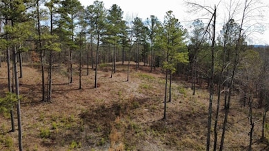 LT 108 Blalock Mountain Rd, Talking Rock, GA 30175 - photo 6