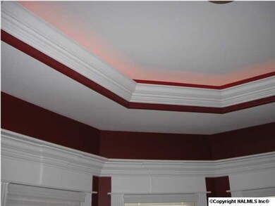 Dining room with trey ceiling, rope lighting, and decorative window trim.