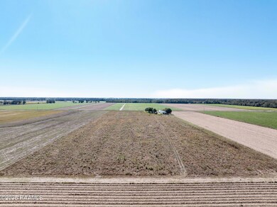 8-web-or-mls-DJI_20251111005743_0960_D