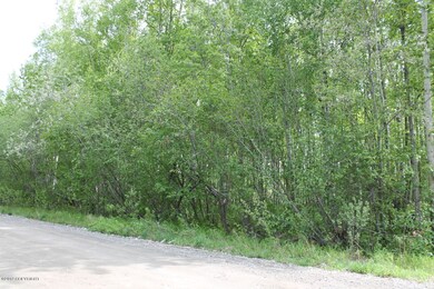 Front side of lot