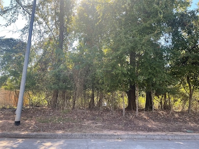 12963 Shady Grove Ln, Montgomery, TX 77356 - photo 2