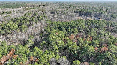 1074 Ridgeside Dr, Brandon, MS 39042 - photo 2