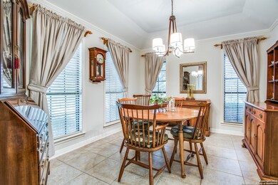 11235 Javalin Trail, Helotes, TX 78023 - photo 4