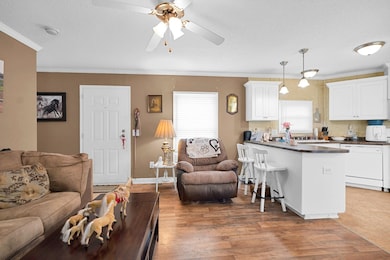 5716 Cairo-Hickory Grove Rd, Corydon, KY 42406 - photo 7