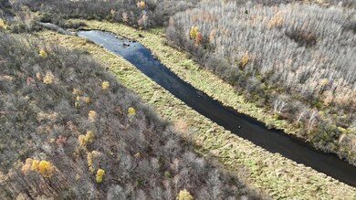 20 Acres, Gleason, WI 54435 - photo 2