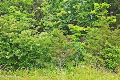 9445 Bob Rogers Rd, Frankfort, KY 40601 - photo 6