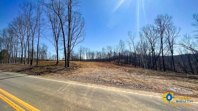 0 Highway 438 unit 25510456, Centerville, TN 37033 - photo 4