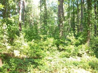 43 Shady Ln, Jackson, GA 30233 - photo 7