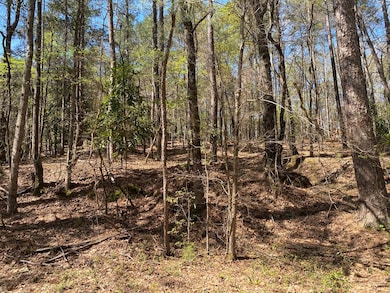 0 Sandra Dr unit 52382, Gray, GA 31032 - photo 3