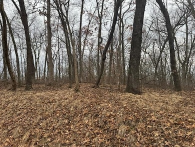 Lot 29 Hidden Meadow Ln, Blue River, WI 53518 - photo 2