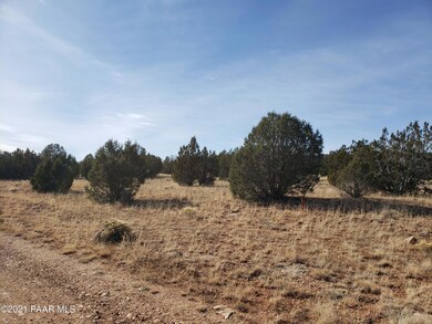 53128/78 N Cloudcroft Way, Seligman, AZ 86337 - photo 7