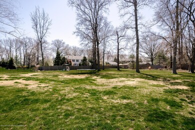 Expansive Yard