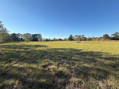 10534 Hufsmith Rd, Tomball, TX 77375 - photo 7