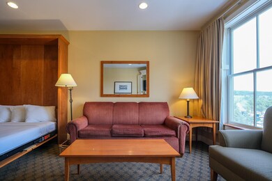 Pull out sofa and Murphy bed