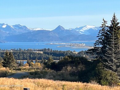 Homer Spit View
