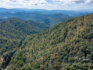 000 Simms Fork Rd, Burnsville, NC 28714 - photo 6