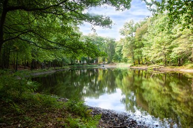 13440 Trillium Ln unit lot 19, New Buffalo, MI 49117 - photo 4