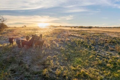 Tbd Cr 218, Gainesville, TX 76240 - photo 7