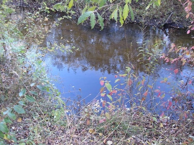 4107 E White River Dr, Hesperia, MI 49421 - photo 6