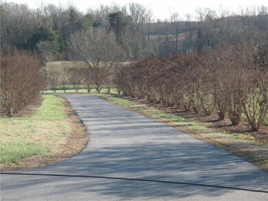 3049 Spoons Chapel Rd, Asheboro, NC 27205 - photo 4