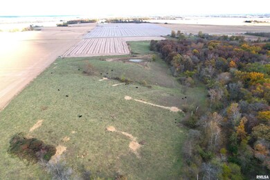 0 1380 E, Kane Township, IL 62054 - photo 5