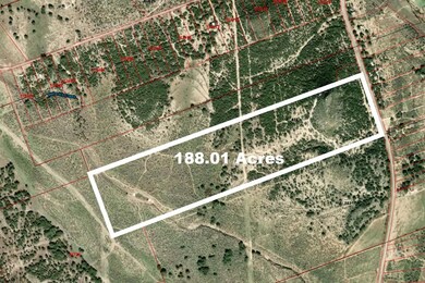 32901 Texas 55, Uvalde, TX 78801 - photo 5