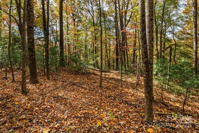 Lot 24 Ben Miller Rd unit 24, Deep Gap, NC 28618 - photo 7