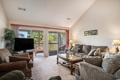 4920 Windsor Green Way unit 302, Myrtle Beach, SC 29579 - photo 4