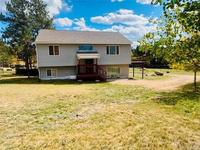 94 Green St, Bailey, CO 80421 - photo 2