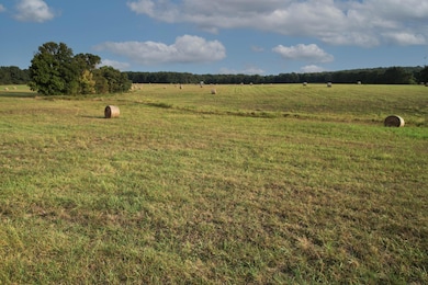 000 E Farm Road 68 unit Parcel 3, Strafford, MO 65757 - photo 7