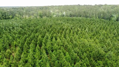 thumbnail_dji_fly_20230511_141120_309_16