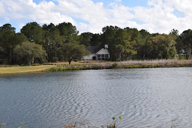 1215 Big Dataw Point, Saint Helena Island, SC 29920 - photo 6