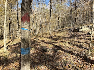 00 Sharps Cove Rd, New Market, AL 35761 - photo 6