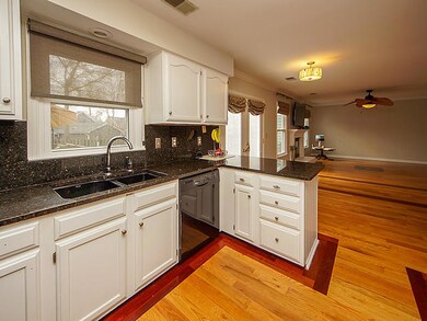 Granite Countertops and Backsplash