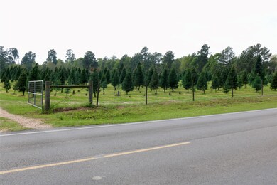 15611 Coe Loop, Magnolia, TX 77355 - photo 4