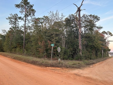 11,12,13 Paradise Cir, Donalsonville, GA 39845 - photo 7