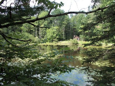 254 Eaton Rd, Dexter, ME 04930 - photo 7