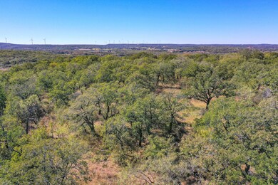 34.38 Acres Lester Rd, Jacksboro, TX 76458 - photo 4