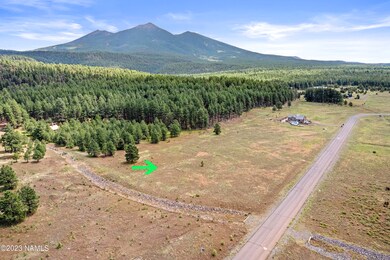DJI_0001-Edit