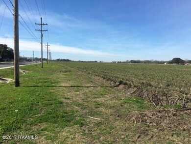 000 Monnot Rd, Jeanerette, LA 70544 - photo 6