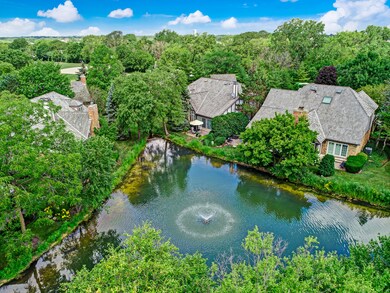 11 Bristol Ct, Burr Ridge, IL 60527 - photo 6