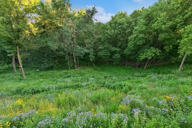Wild flowers grow and bloom and add a variety of colors in the greenery.