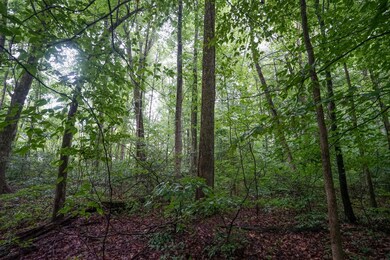 0 Duncanson Rd unit 24555971, Whiteoak Township, OH 45171 - photo 5