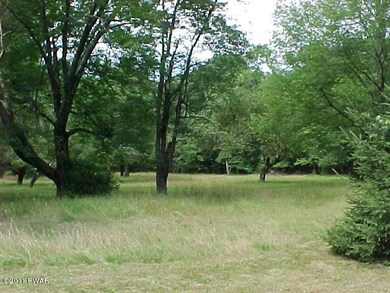 0 Johnny Bee Rd unit PWB113440, Delaware Township, PA 18328 - photo 6