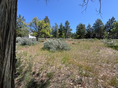 569 Kestrel Rd-04