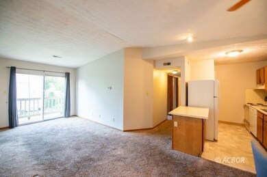 Kitchen and living room