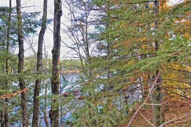 Lot#311 Beard, Grafton, NH 03240 - photo 3