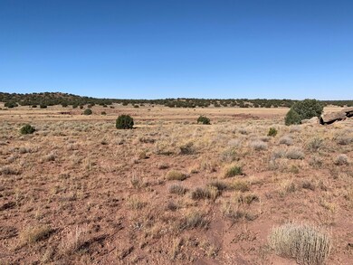 lower dry wash grass area