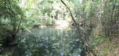 0 Wakulla Springs Hwy, Crawfordville, FL 32327 - photo 2