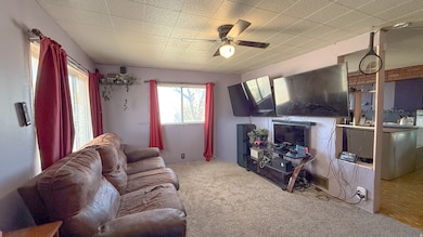 Living area featuring carpet and a ceiling fan